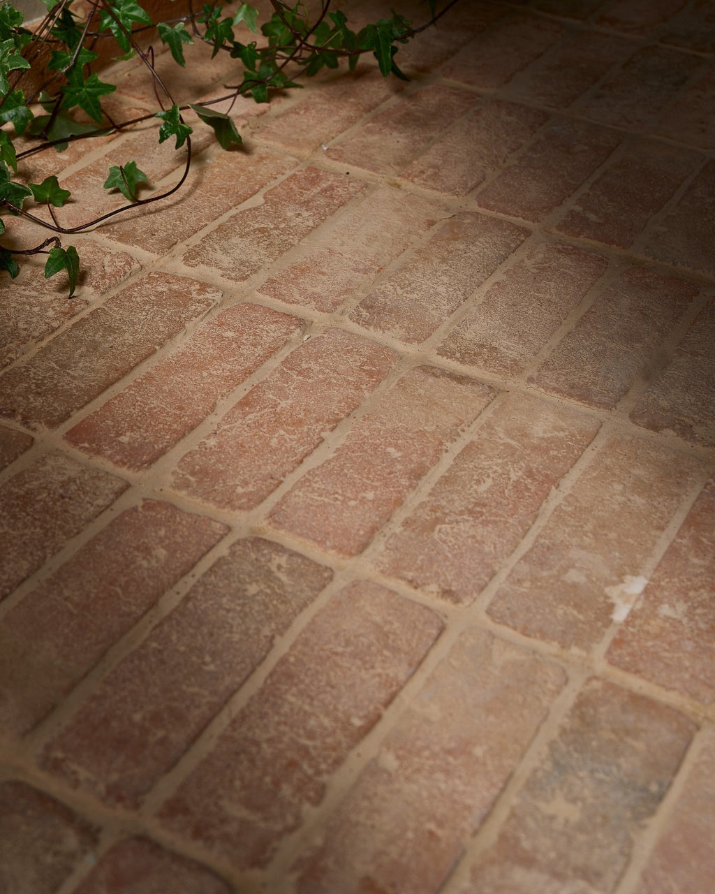 Ca’ Pietra Marlborough Terracotta Bejmat — official gallery image 6