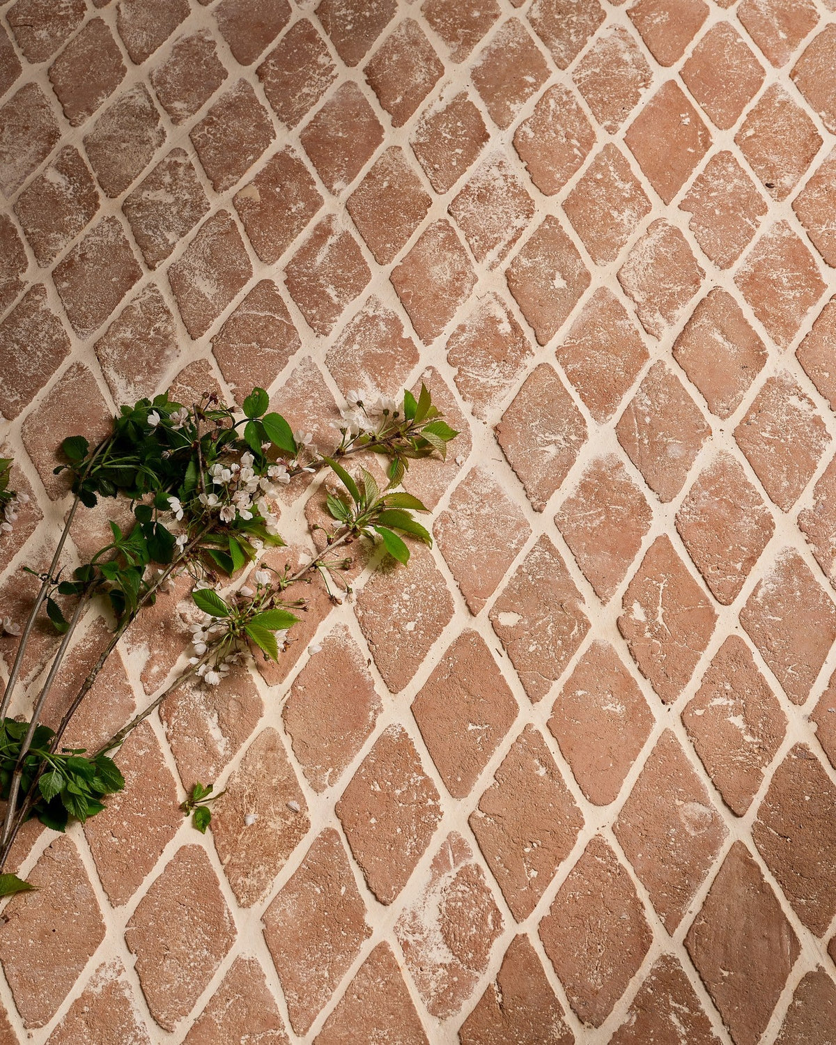 Ca’ Pietra Marlborough Terracotta Diamond — official gallery image 5
