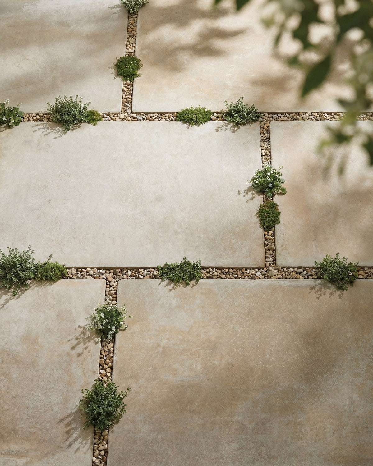 Provence Collection