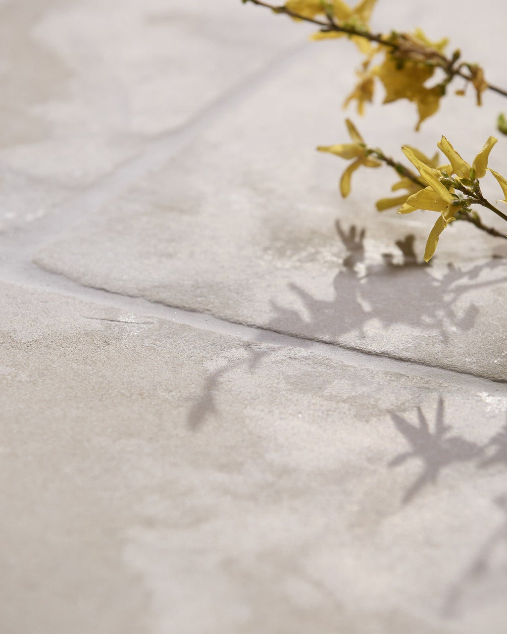 Ca’ Pietra Romaine Limestone Tumbled Finish — official gallery image 2
