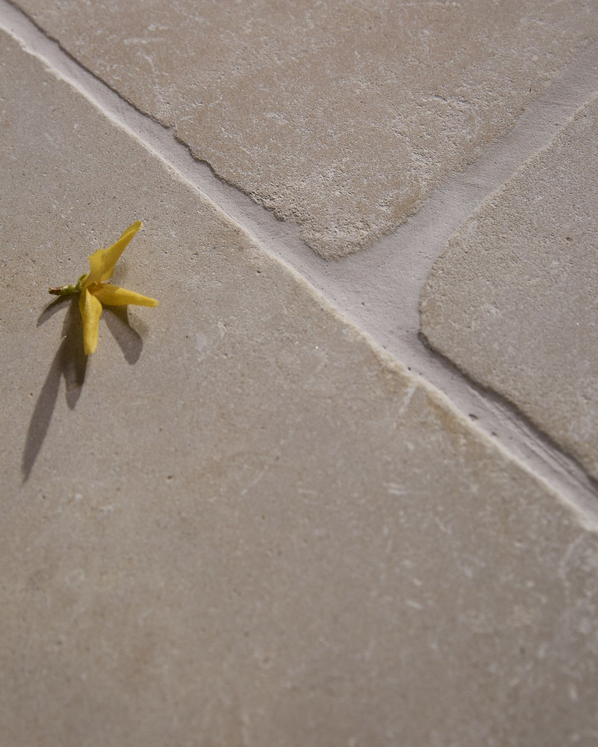 Ca’ Pietra Romaine Limestone Tumbled Finish — official gallery image 9