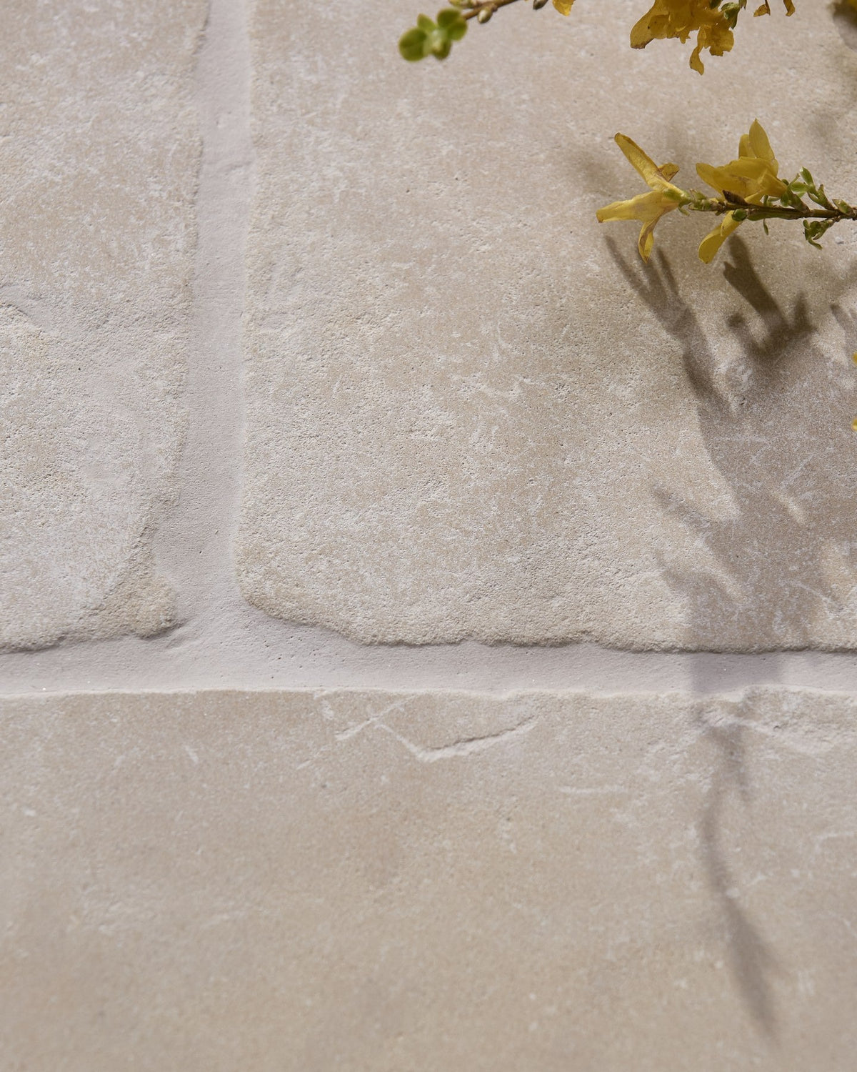 Ca’ Pietra Romaine Limestone Tumbled Finish — official gallery image 11