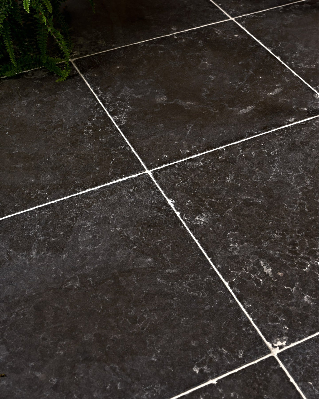 Ca’ Pietra Royal Mink Limestone Tumbled Finish — official gallery image 3