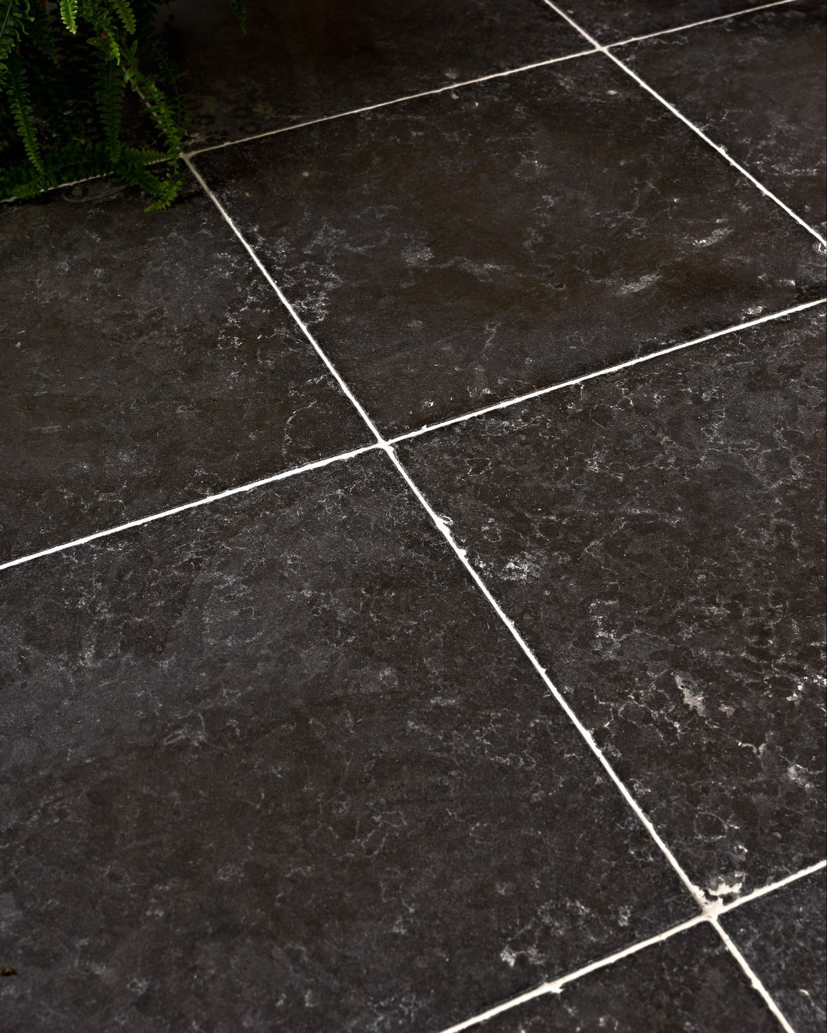 Ca’ Pietra Royal Mink Limestone Tumbled Finish — official gallery image 3