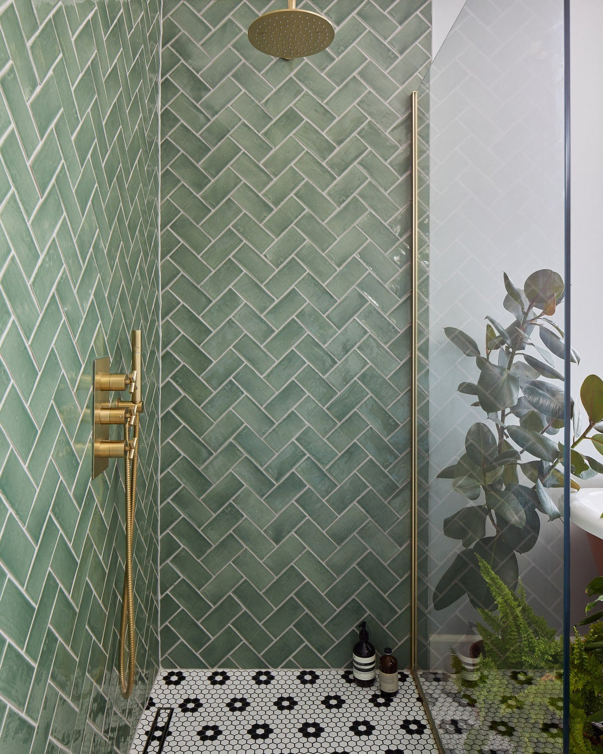 Ca’ Pietra Seaton Ceramic Sea Cabbage — official gallery image 4