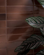 Ca’ Pietra Stone Glaze Ceramic Cola Gloss Brick — official gallery image 4