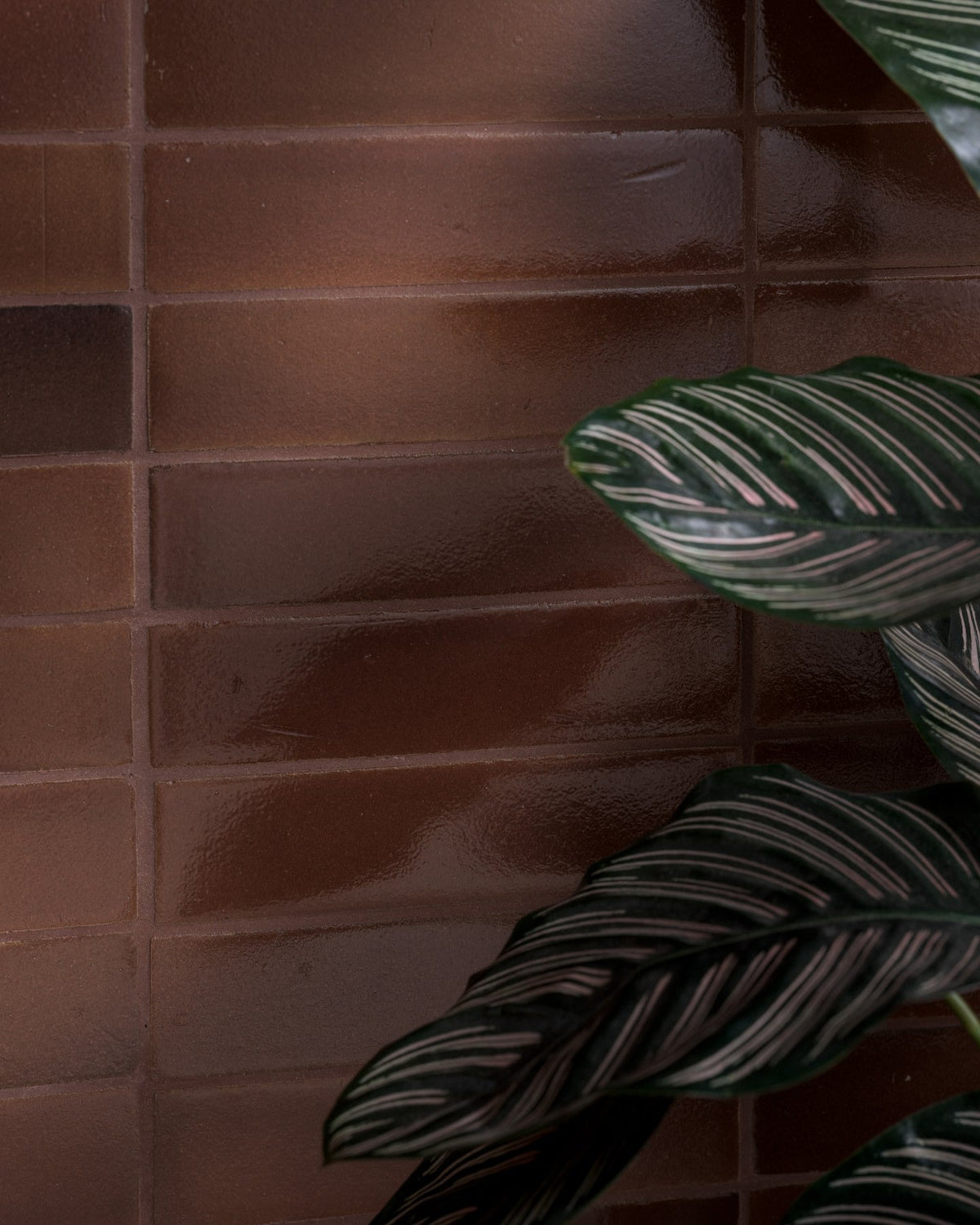 Ca’ Pietra Stone Glaze Ceramic Cola Gloss Brick — official gallery image 4