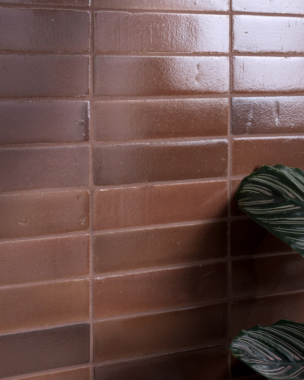 Ca’ Pietra Stone Glaze Ceramic Cola Gloss Brick — official gallery image 8