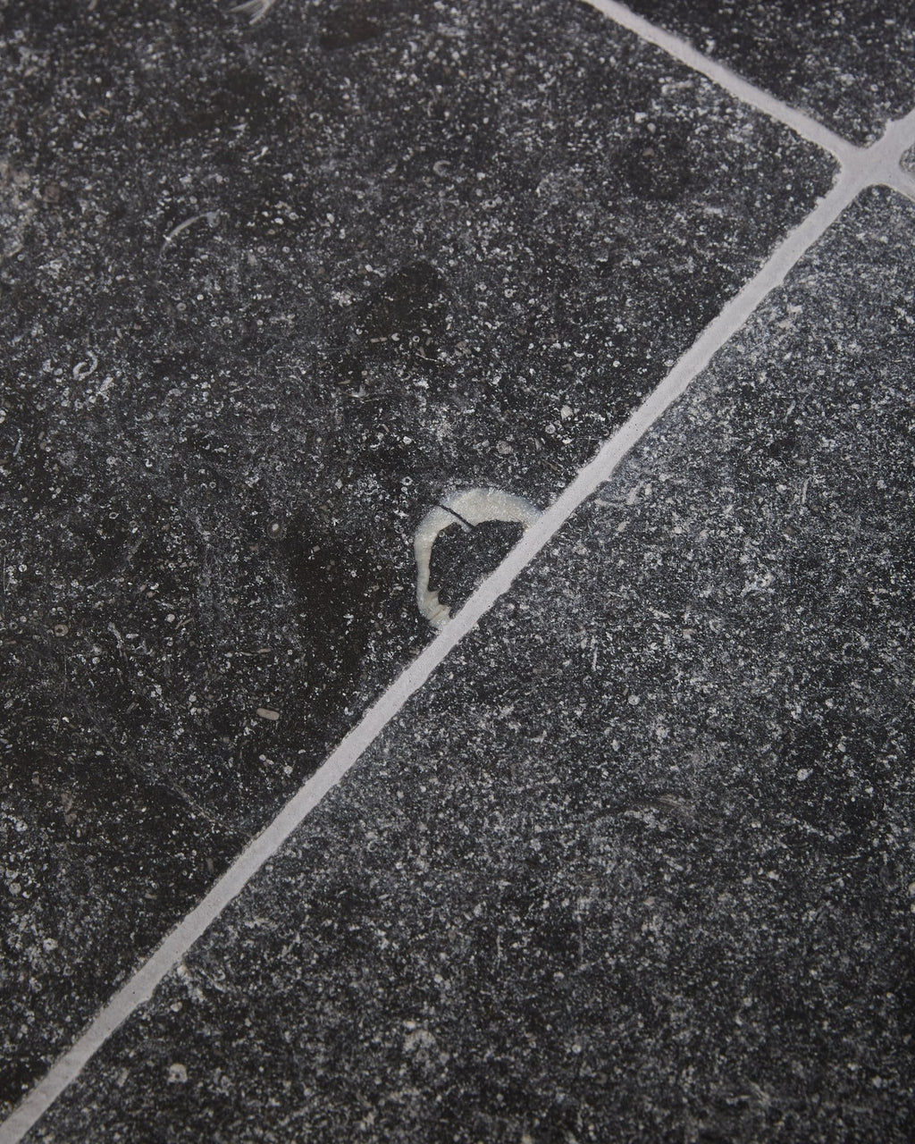 Ca’ Pietra Tora Blue Limestone Tumbled Finish — official gallery image 5