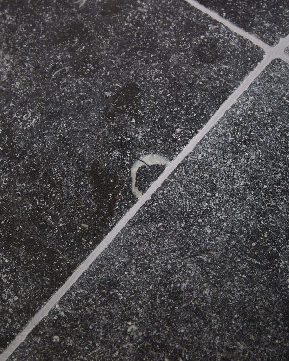 Ca’ Pietra Tora Blue Limestone Tumbled Finish — official gallery image 5