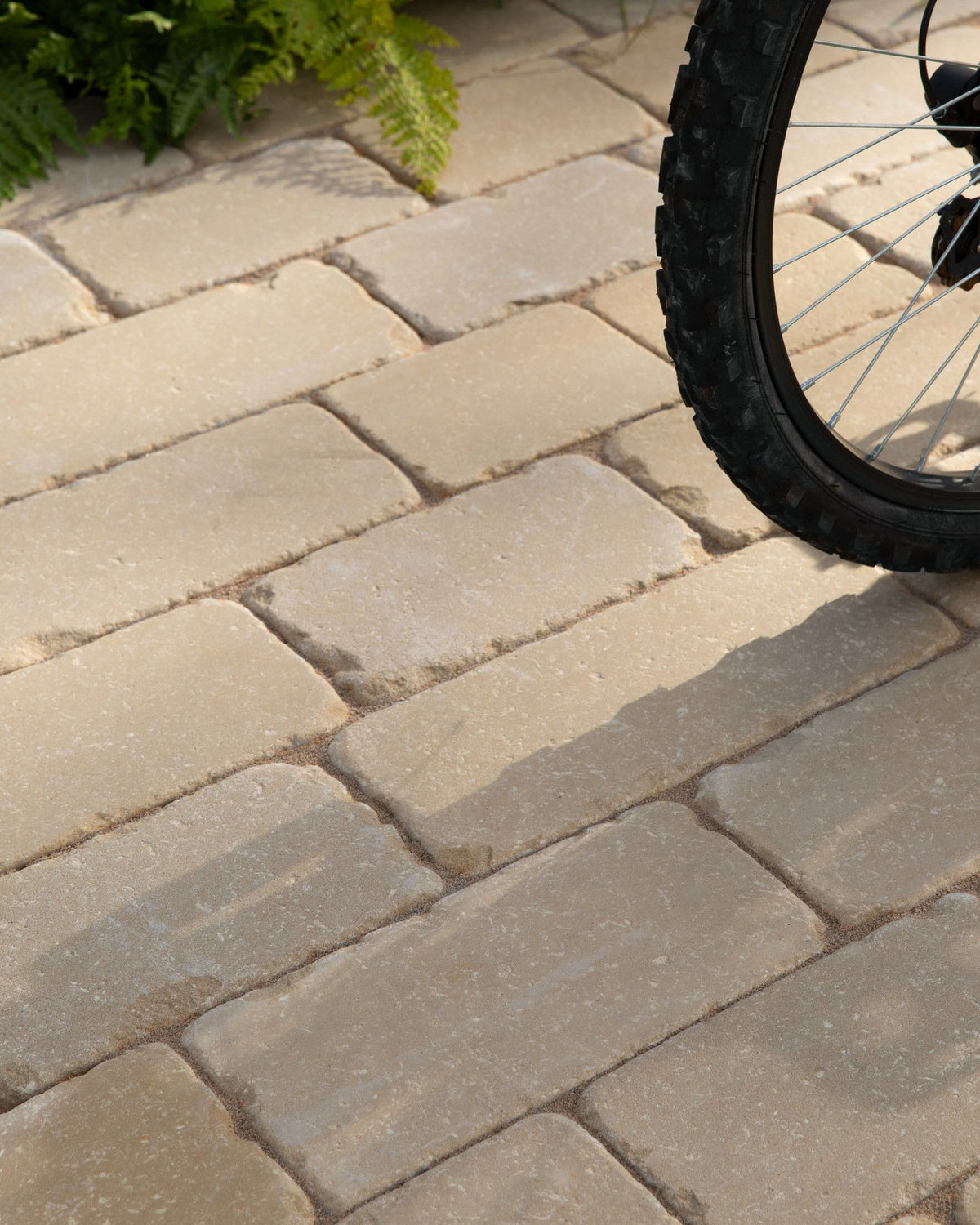Ca’ Pietra Trafalgar Sandstone Tumbled Cobbles — official gallery image 1