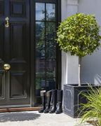 Ca’ Pietra Trusloe Limestone Paving Seasoned Finish — official gallery image 6