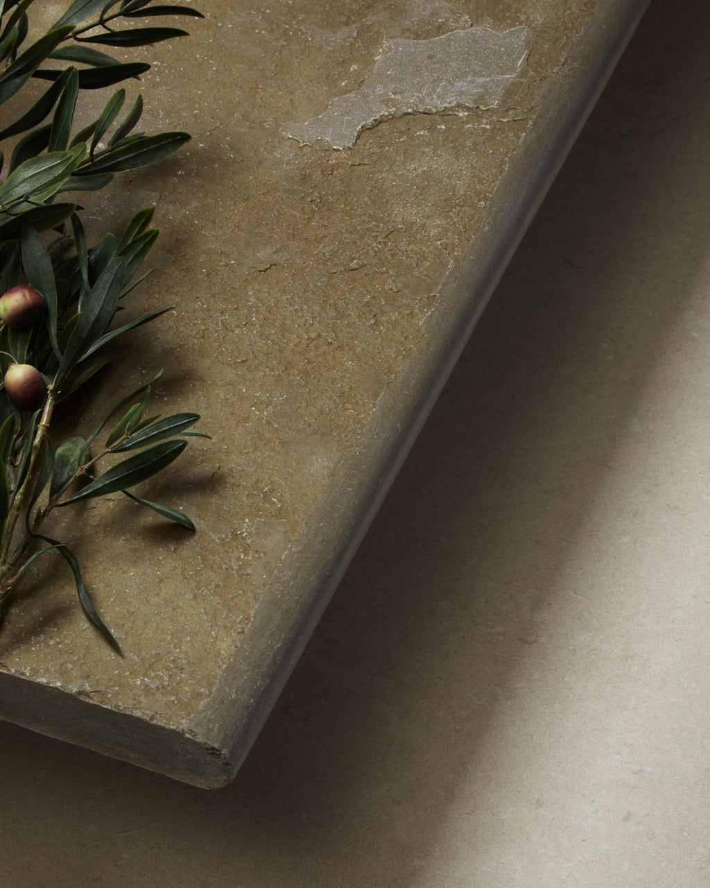 Ca’ Pietra Trusloe Limestone Seasoned Bullnose Coping — official gallery image 3