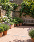 Ca’ Pietra Wansdyke Terracotta — official gallery image 12