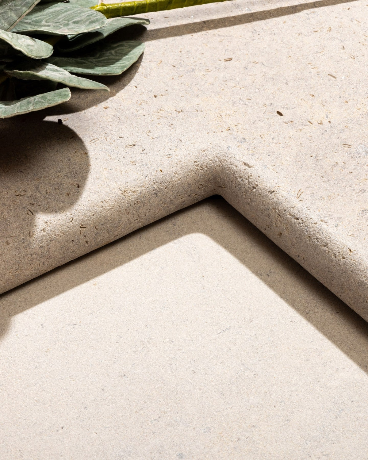 Ca’ Pietra Wychwood Limestone Etched Bullnose Coping — official gallery image 1