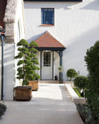 Ca’ Pietra Wychwood Limestone Paving Tumbled & Etched Finish — official gallery image 10