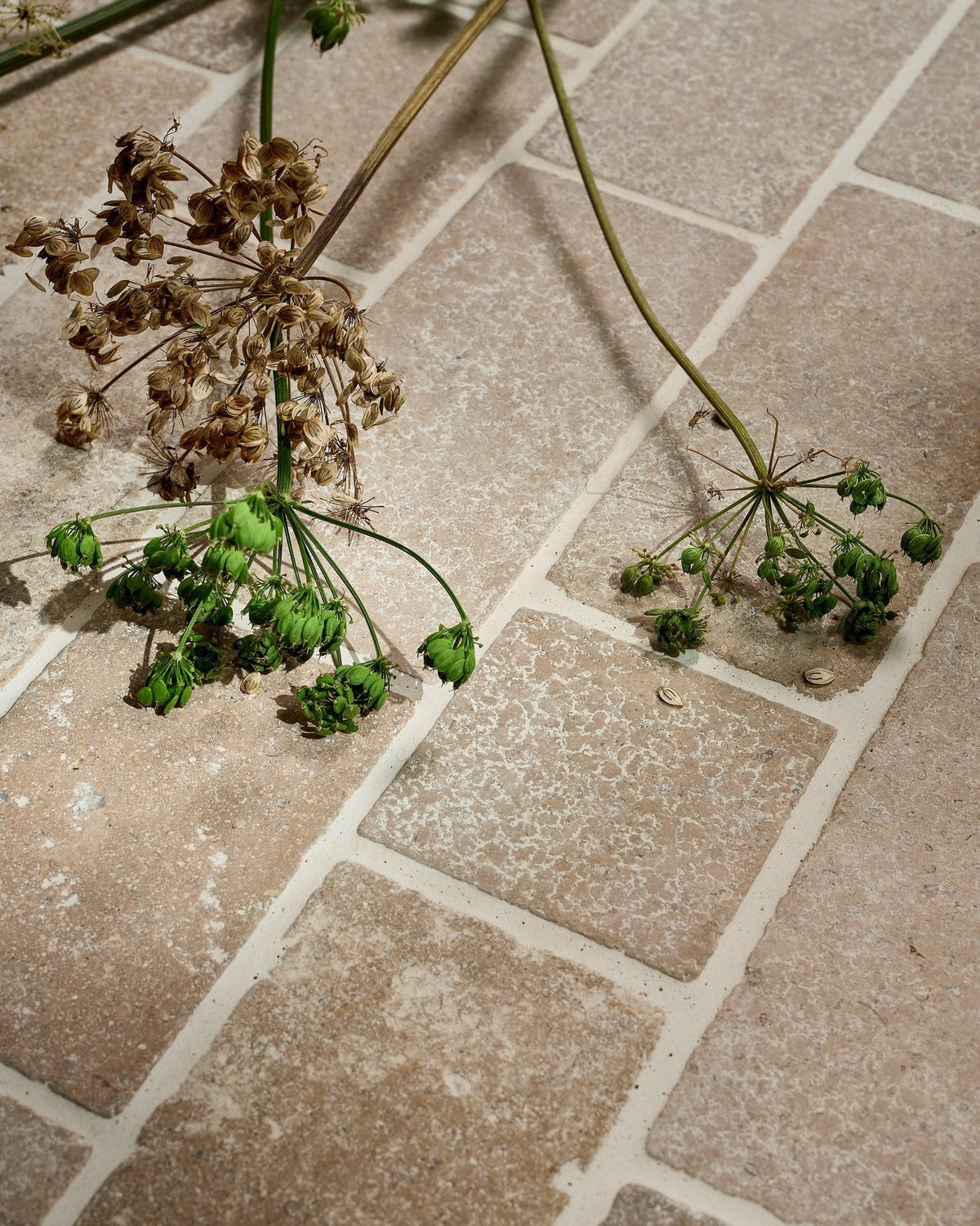 Ca’ Pietra Wychwood Limestone Tumbled & Etched Cobble — official gallery image 10