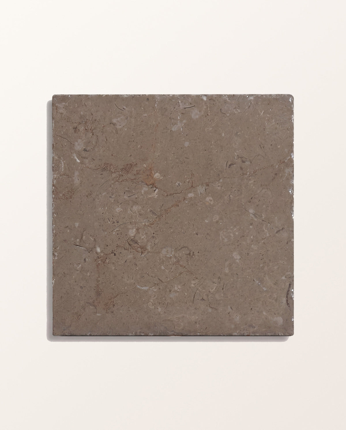 Ca’ Pietra Amaya Limestone Tumbled Cabochons — official gallery image 2