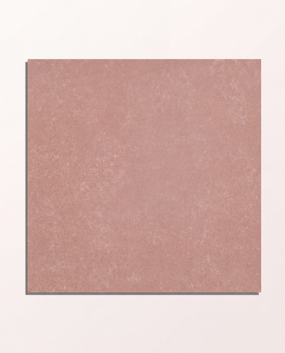 Ca’ Pietra Aventuras Rose Field Porcelain — official gallery image 2