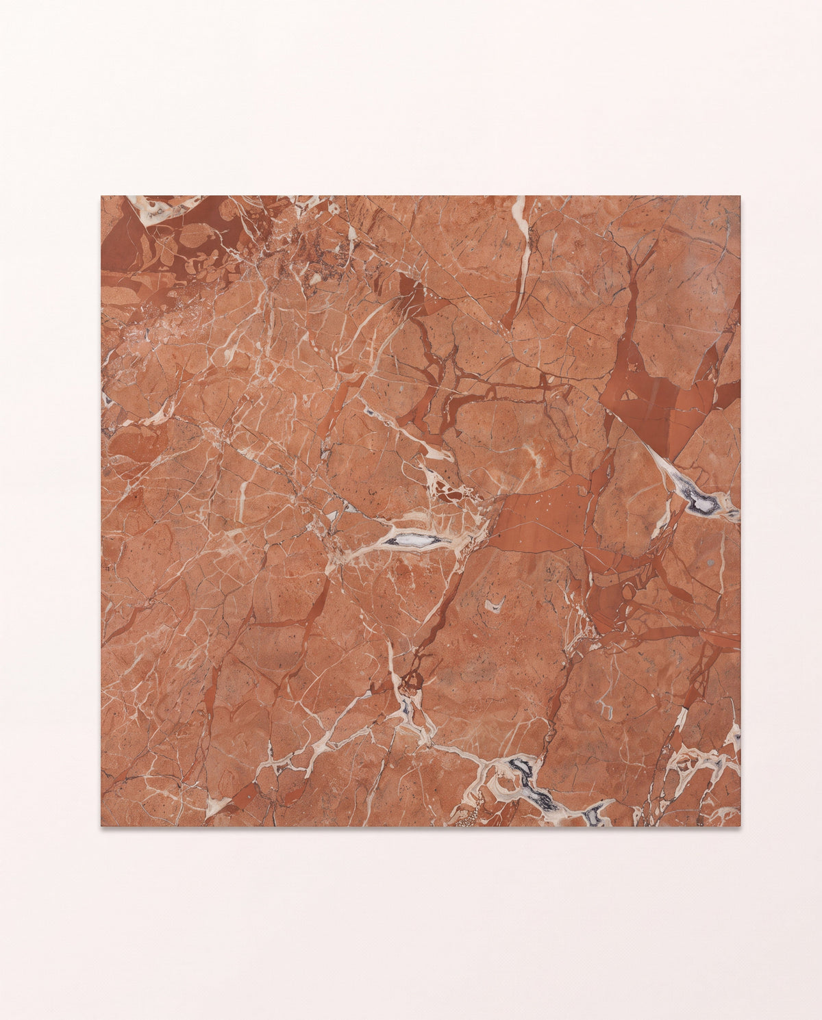 Ca’ Pietra Versailles Marble Rouge Honed — official gallery image 2