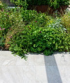 Ca’ Pietra Lithos Porcelain Paving Textured Blanc — official gallery image 4