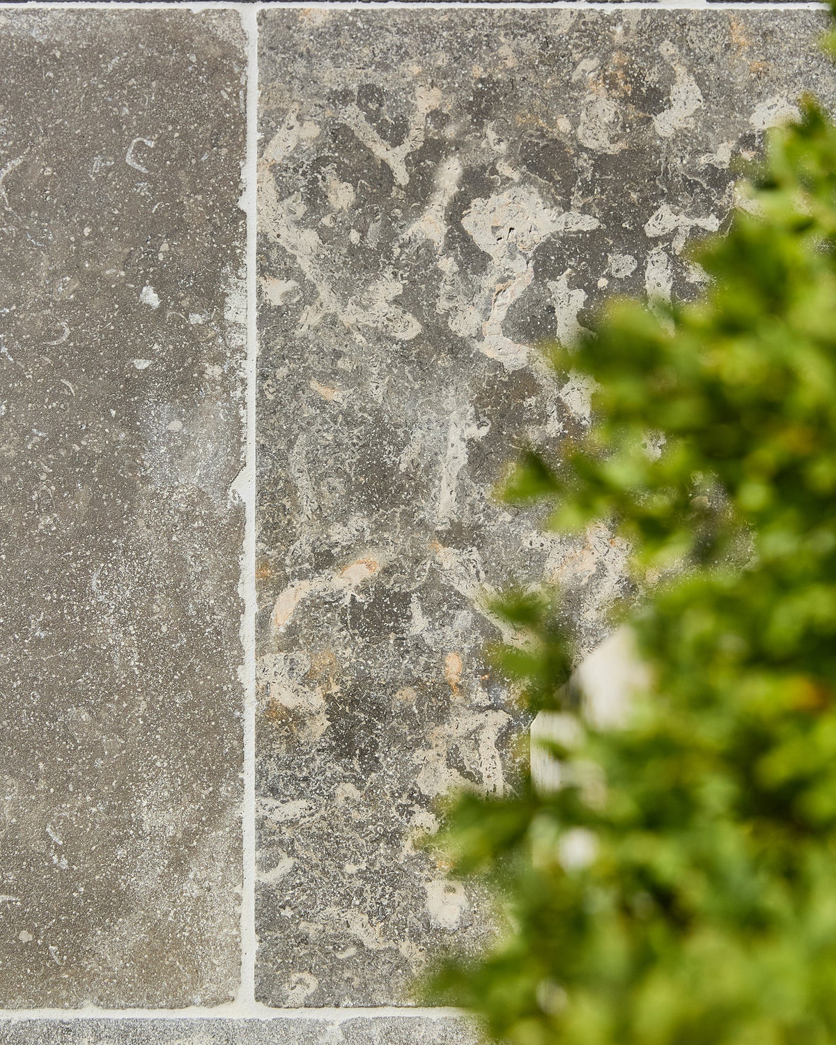 Ca’ Pietra Wareham Limestone Tumbled & Etched Finish — official gallery image 4