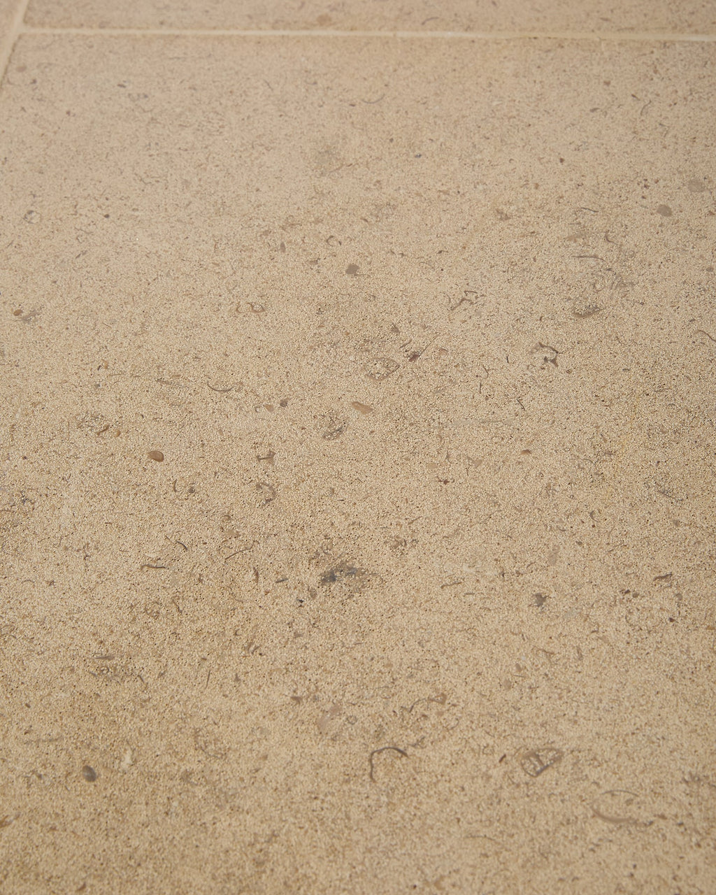 Ca’ Pietra Bath Limestone Honed Finish — official gallery image 14
