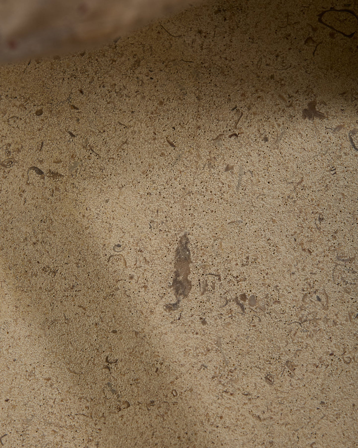 Ca’ Pietra Bath Limestone Honed Finish — official gallery image 9