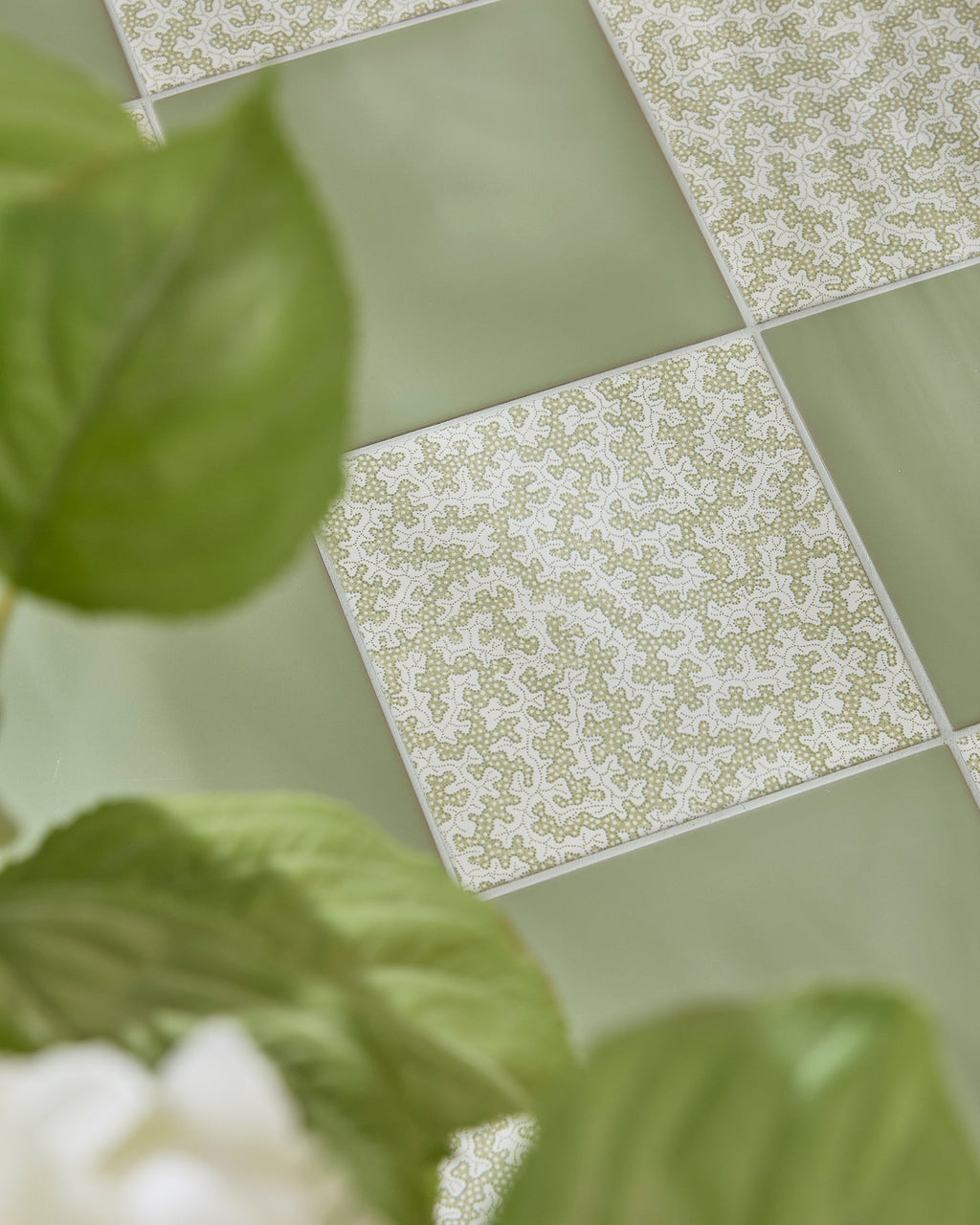 Ca’ Pietra Sanderson - Plain Sage Porcelain — official gallery image 6