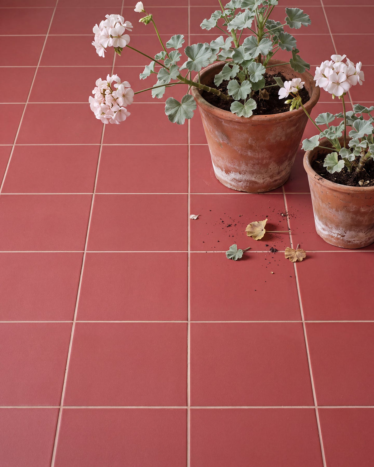 Ca’ Pietra Sanderson - Plain Madder Porcelain — official gallery image 1