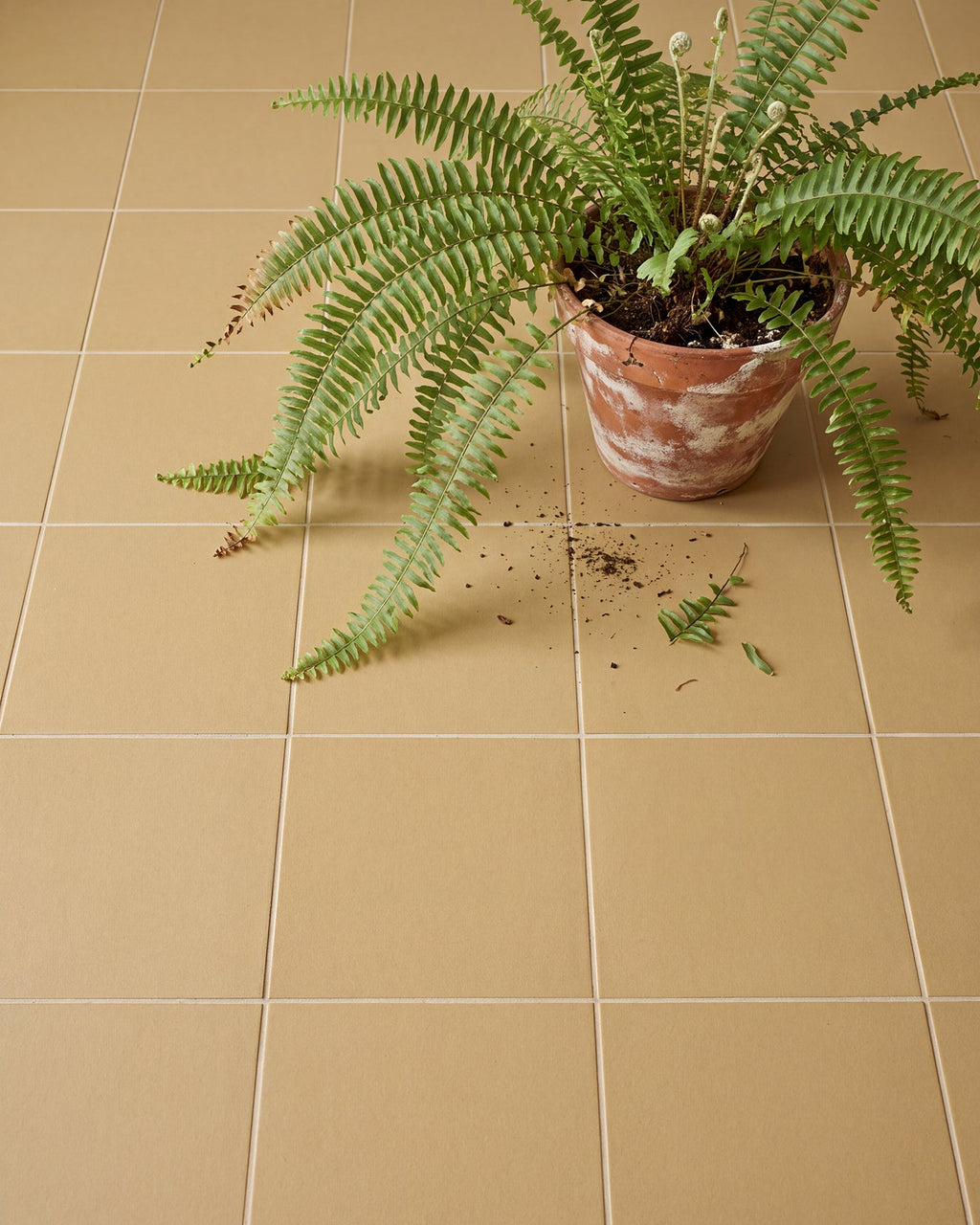 Ca’ Pietra Sanderson - Plain Ochre Porcelain — official gallery image 1