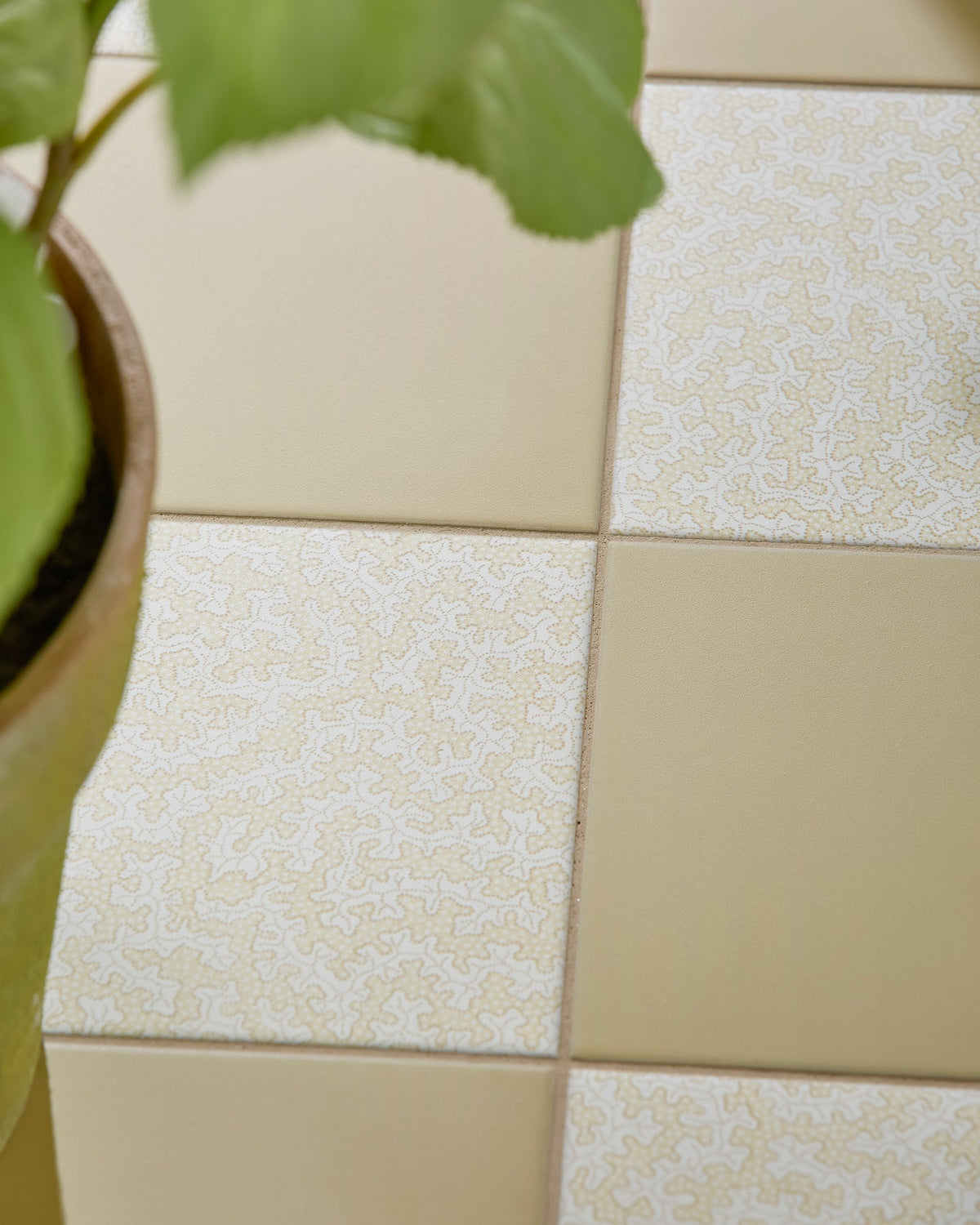 Ca’ Pietra Sanderson - Plain Ochre Porcelain — official gallery image 12
