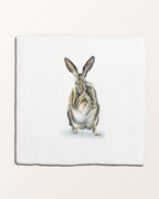 Ca’ Pietra Wiltshire Hares Ceramic By Joanna May — official gallery image 2