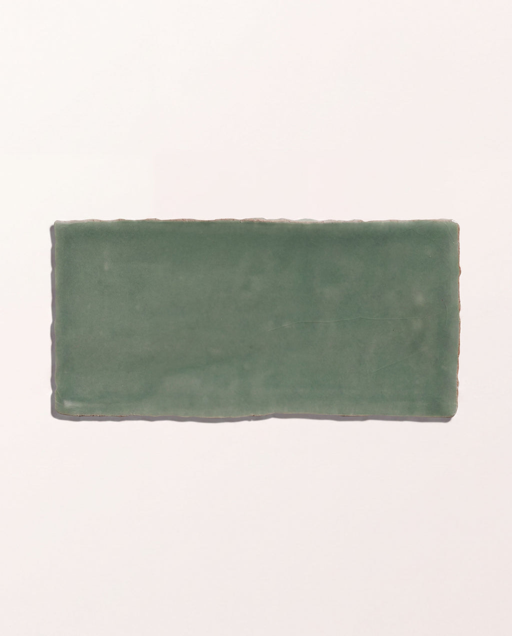 Ca’ Pietra Seaton Ceramic Sea Cabbage — official gallery image 2