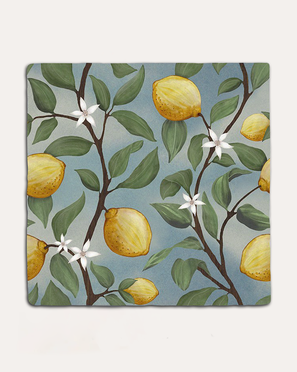Ca’ Pietra STUDIO Nonna's Kitchen Sorrento Azzuro Ceramic — official gallery image 2