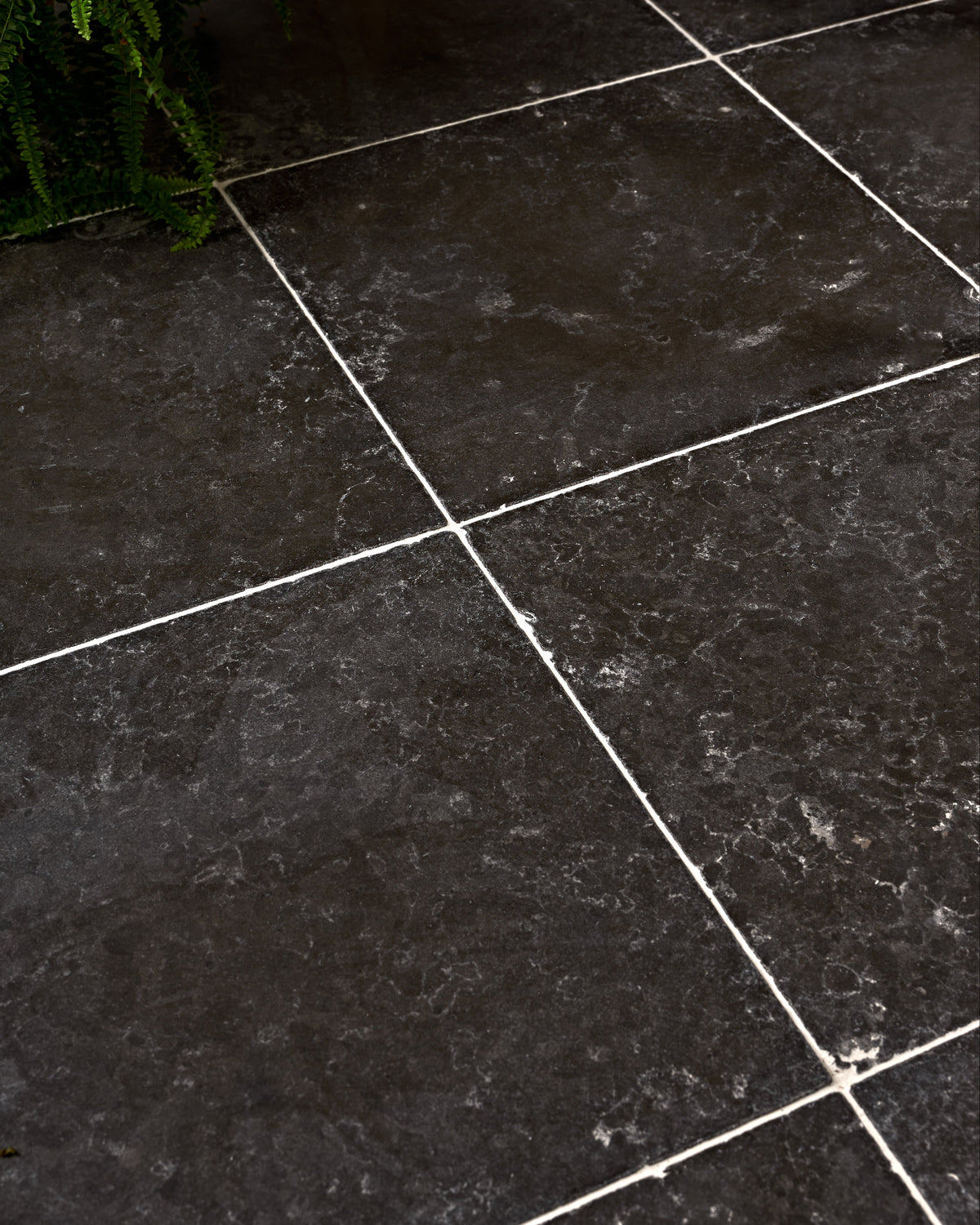 Ca’ Pietra Royal Mink Limestone Tumbled Finish — official gallery image 11