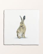 Ca’ Pietra Wiltshire Hares Ceramic By Joanna May — official gallery image 7