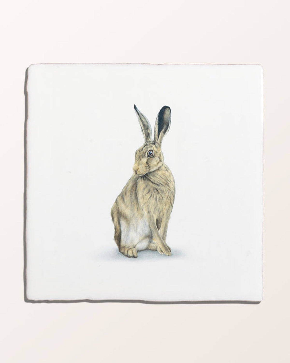 Ca’ Pietra Wiltshire Hares Ceramic By Joanna May — official gallery image 7