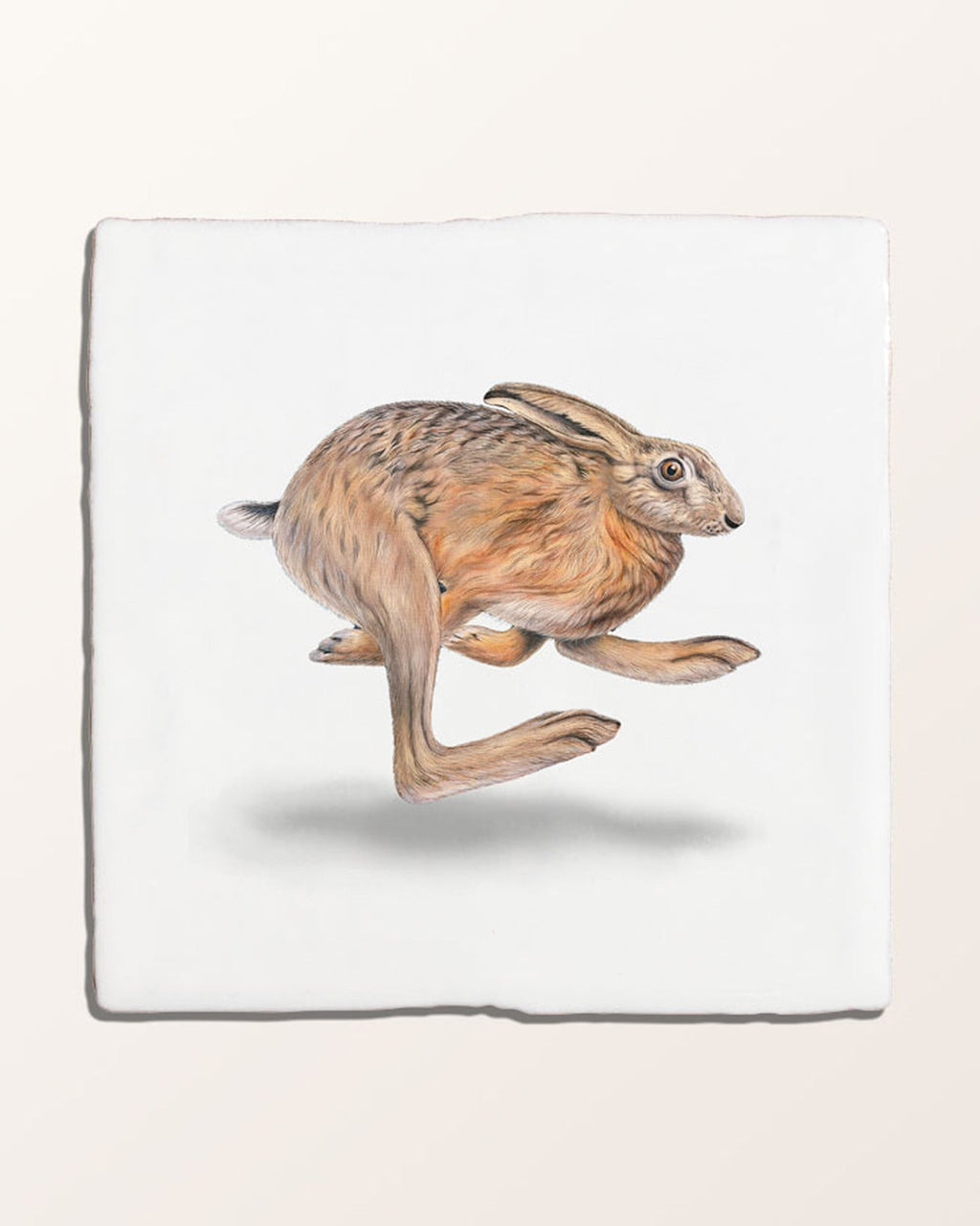Ca’ Pietra Wiltshire Hares Ceramic By Joanna May — official gallery image 5