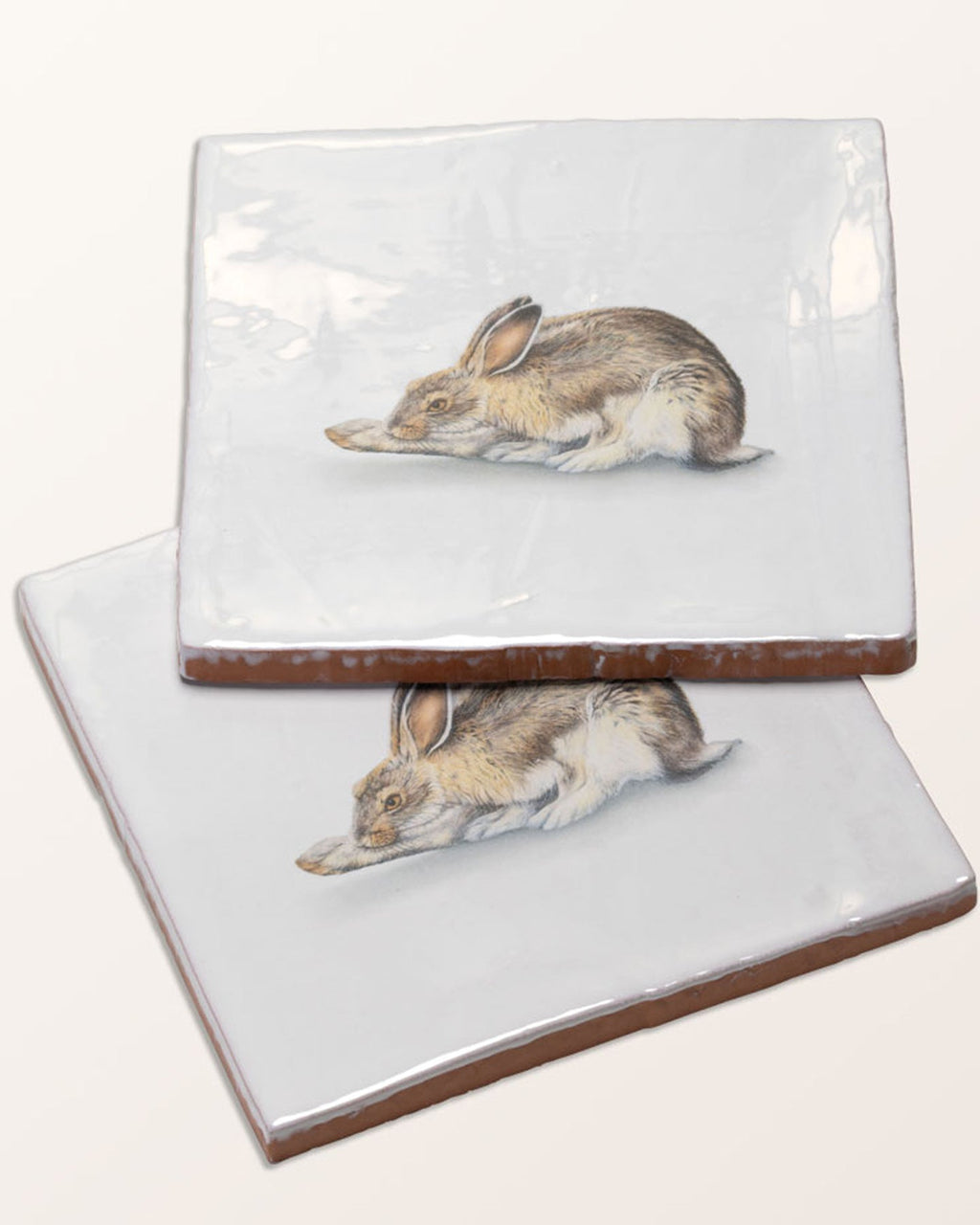 Ca’ Pietra Wiltshire Hares Ceramic By Joanna May — official gallery image 23