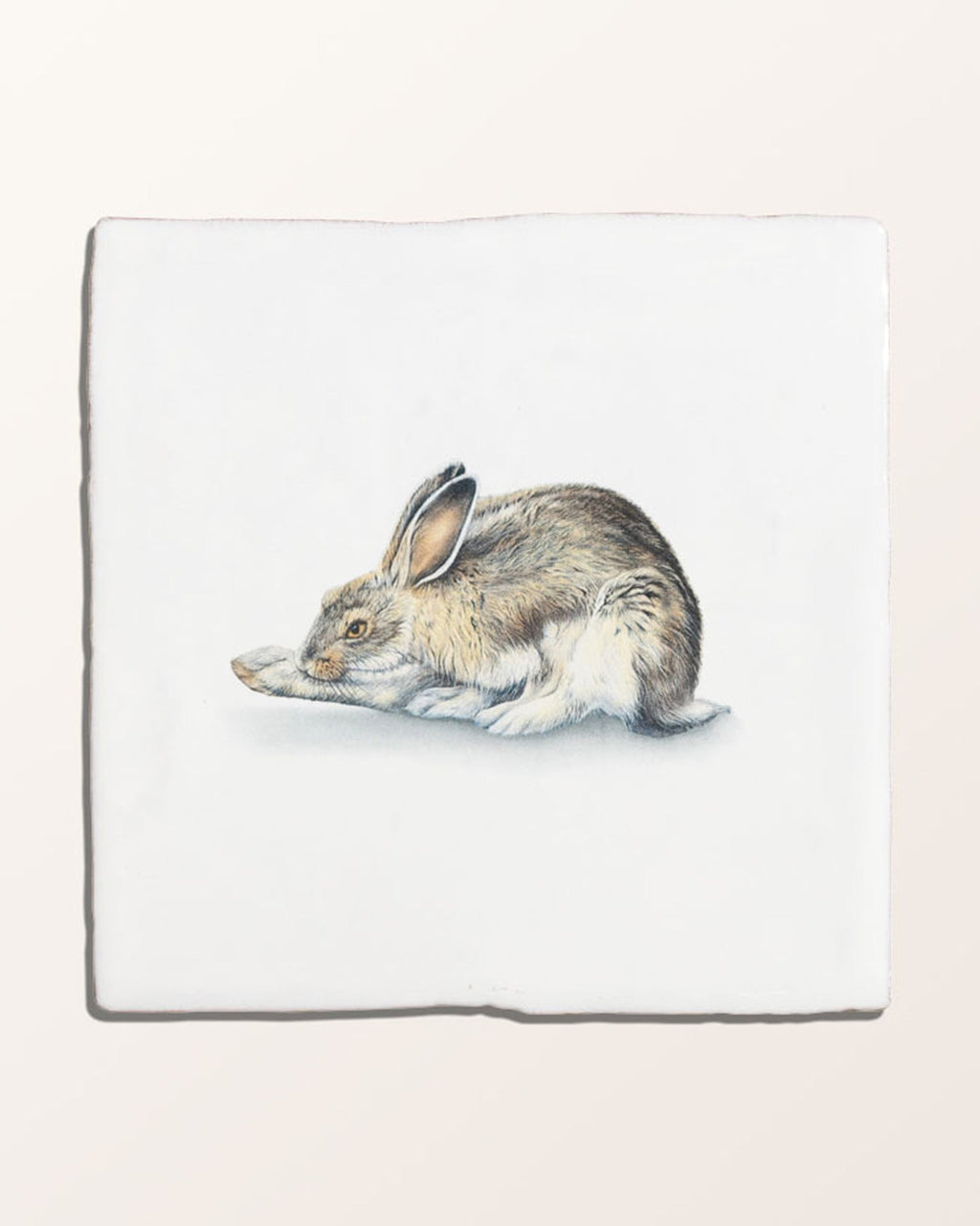 Ca’ Pietra Wiltshire Hares Ceramic By Joanna May — official gallery image 9