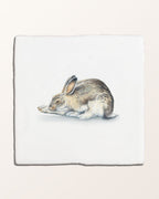 Ca’ Pietra Wiltshire Hares Ceramic By Joanna May — official gallery image 9