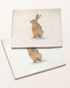 Ca’ Pietra Wiltshire Hares Ceramic By Joanna May — official gallery image 28