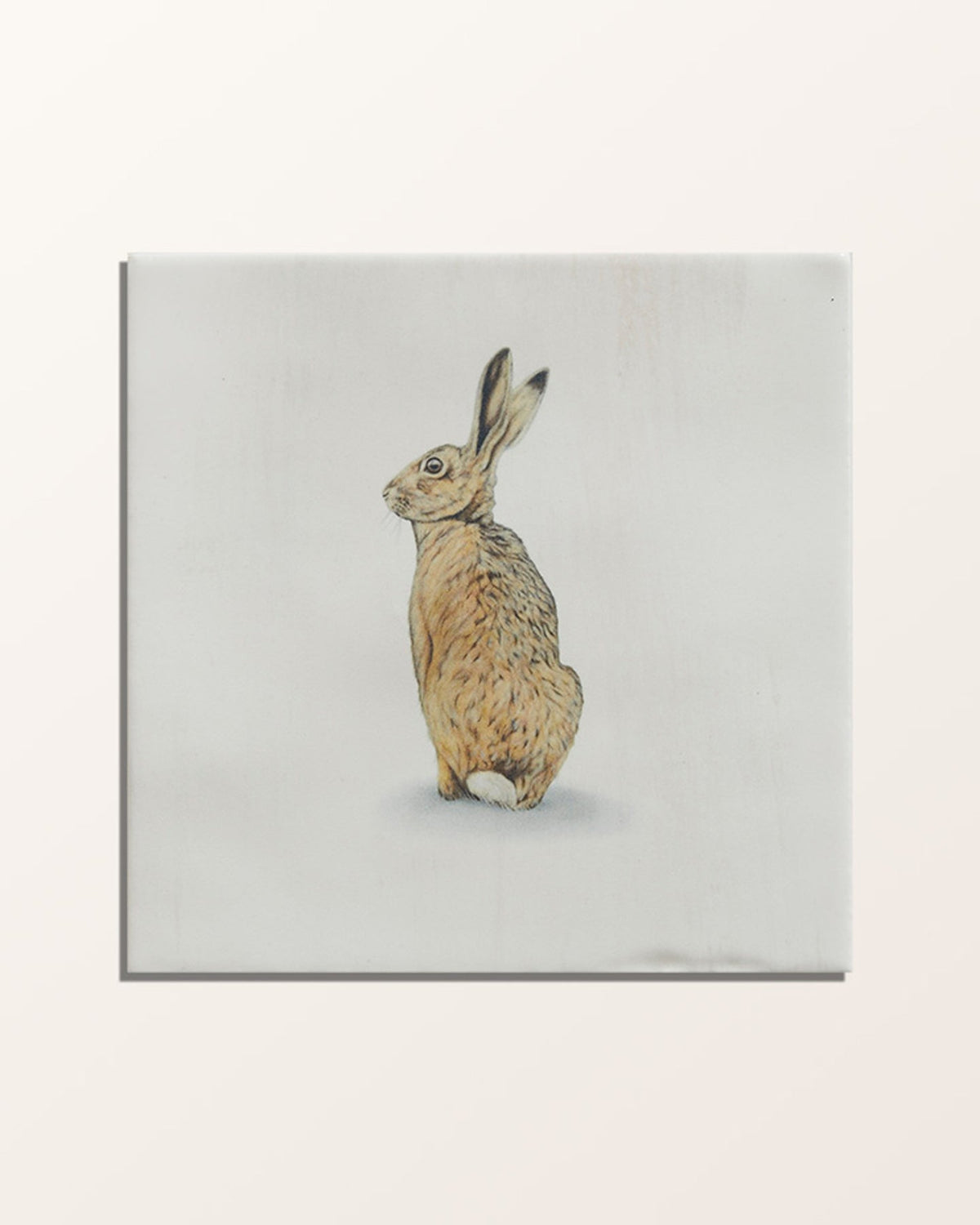 Ca’ Pietra Wiltshire Hares Ceramic By Joanna May — official gallery image 16