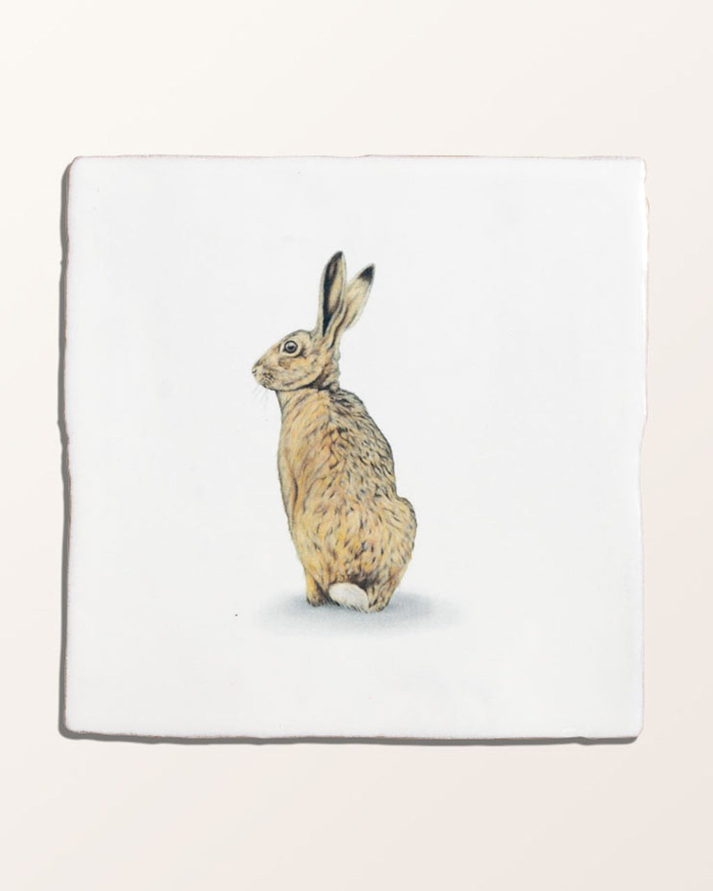 Ca’ Pietra Wiltshire Hares Ceramic By Joanna May — official gallery image 15