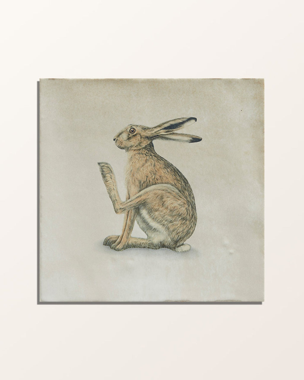 Ca’ Pietra Wiltshire Hares Ceramic By Joanna May — official gallery image 18