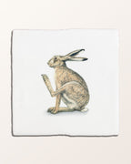 Ca’ Pietra Wiltshire Hares Ceramic By Joanna May — official gallery image 17
