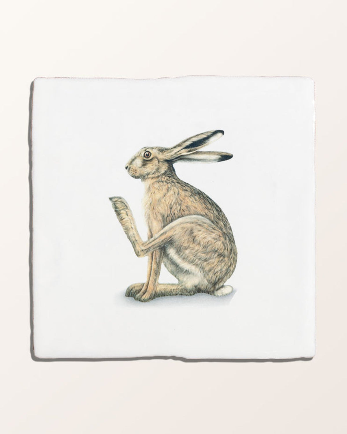 Ca’ Pietra Wiltshire Hares Ceramic By Joanna May — official gallery image 17