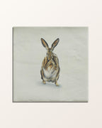 Ca’ Pietra Wiltshire Hares Ceramic By Joanna May — official gallery image 4