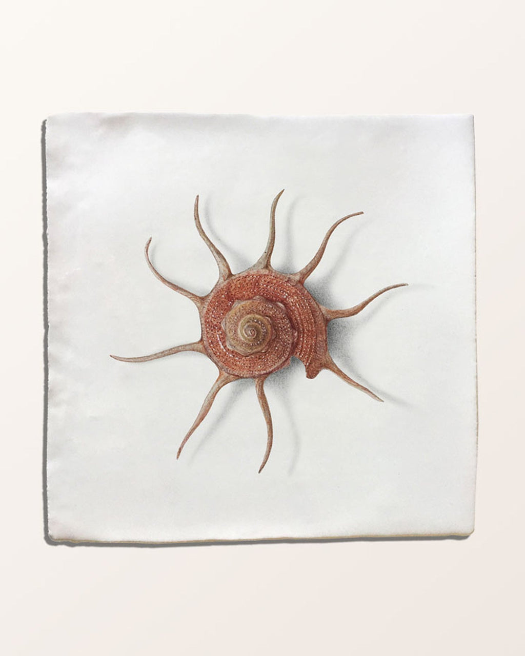 Ca’ Pietra Menagerie Ceramic by Michael Angove — official gallery image 6